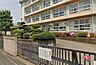 周辺：平塚市立松延小学校（916m）