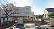 茅ヶ崎市立東海岸小学校（493m）