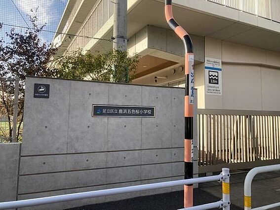 鹿浜五色桜小学...