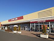 ヨークベニマル　結城四ツ京店