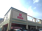 かましん　自治医大店