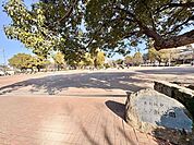 三ノ瀬公園 390m