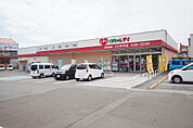 くすりのレデイ フジ伊予店