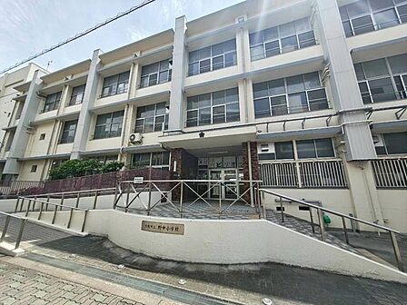 野中小学校 50m