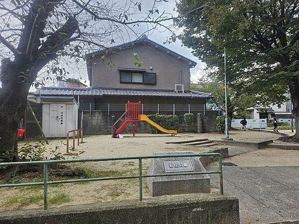 周辺を拡大表示