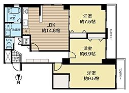ふじ井ハイデンス円山 3LDKの間取図画像