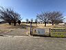 周辺：藤沢中央公園 900m