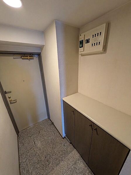 スッキリとした清潔感のある玄関スペース。住まいの顔として上質な空間を演出。