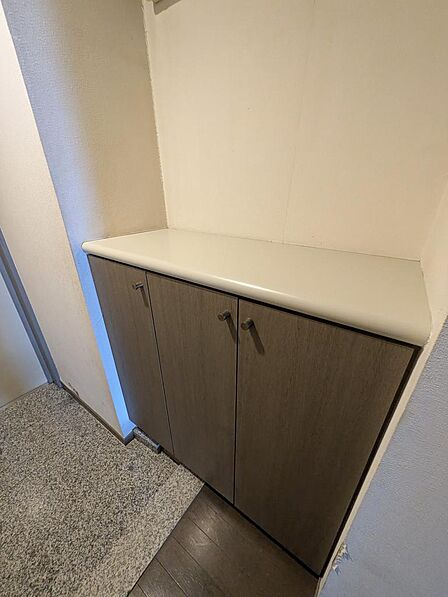 豊富な収納力を備えたシューズボックスを設置。玄関周りをいつも綺麗に保てます