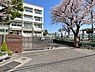 周辺：横浜市立樽町中学校（1560m）