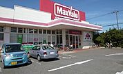 マックスバリュー大在店