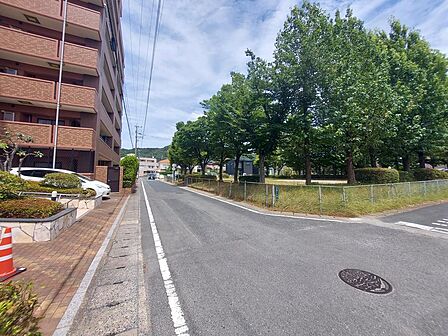 前面道路。右手は巡町公園です。