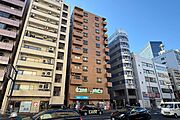 ライオンズマンション池袋第3の外観（北東側から）