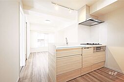 ハイネス小石川