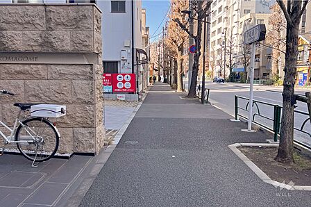 敷地東側の前面道路(南側から)