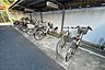 駐車場：駐輪場（ラック式）