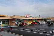 レデイ薬局十川店