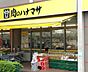 周辺：肉のハナマサ西新井店（450m）