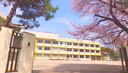 板橋区立板橋第八小学校(700m)