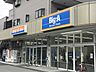 周辺：ビッグ・エー 足立扇店（500m）