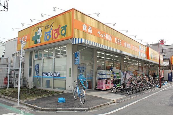 周辺を拡大表示
