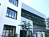 周辺：江東区立第五大島小学校（284m）