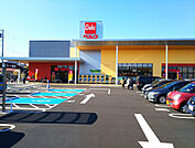 ベルク 座間南栗原店（530m）