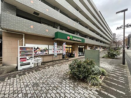 マルエツ 中川駅前店まで約890m(徒歩12分)