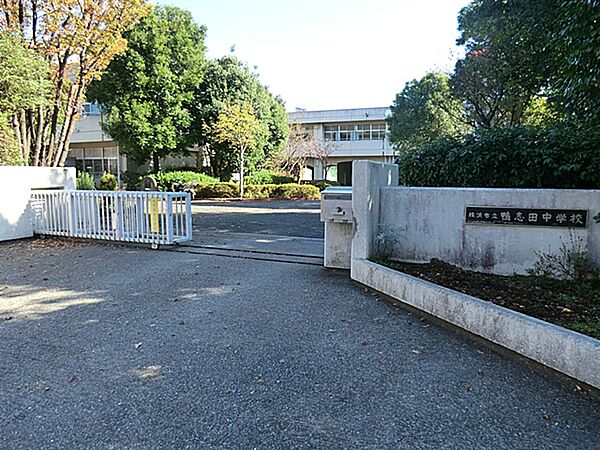 周辺を拡大表示