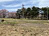 その他：敷地の様子