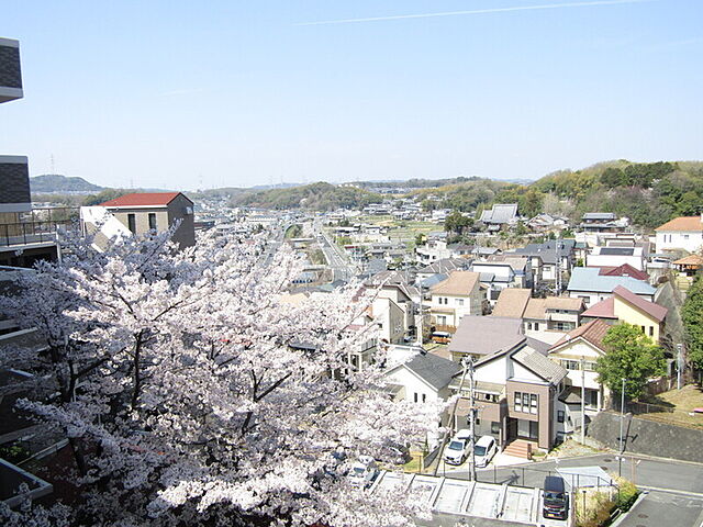 4 / 15