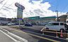 周辺：ドラッグストア 1370m ドラッグセイムス岩槻店