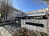 周辺：桜台小学校 510m