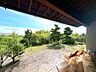 その他：【リフォーム中】庭。家庭菜園やガーデニングはいかがですか。