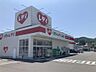 周辺：くすりのレデイ 砥部宮内店（1250m）