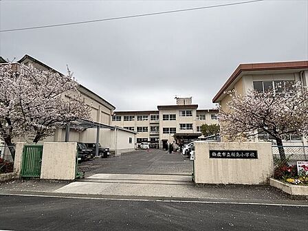 桜島小学校【国際学級としてエスペランサ学級があり,様々な国につながりをもつ児童が勉強しています。楽しい学校生活をおくるために,いろんな活動にチャレンジできる明るい学校です。】 1340m