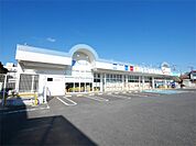 カワチ薬品 日立若葉店（436m）
