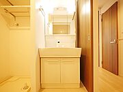 シャンプードレッサー