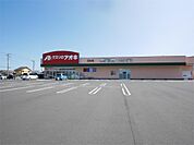 クスリのアオキ 大みか店（1899m）