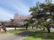 あぶつか公園 920m
