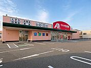 クスリのアオキ文京店 290m
