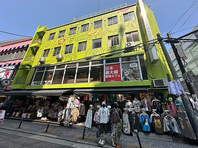 外観