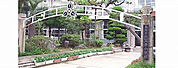 大津小学校
