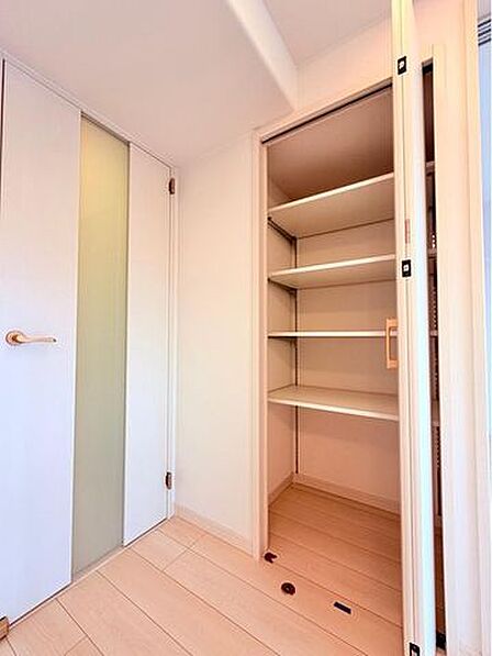 LDKにはリビング収納があります。コンパクトながらも棚板があるので小物の収納にはぴったりです。空間を余すことなく使えるのであったら嬉しい設備です。
