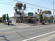 SUPER MARKET FUJI（スーパーマーケットフジ） 松ヶ丘店（581m）