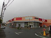 LOPIA（ロピア） 茅ヶ崎店（1022m）