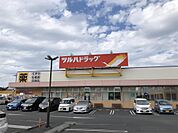 ツルハドラッグ フレスポ茅ヶ崎店（658m）