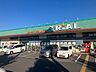 周辺：スーパー 550m ネバフッドマーケットトライアル牛久店