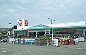 コメリハード＆グリーン泉南信達店まで（1018m）