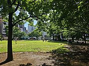 千代田区立和泉公園